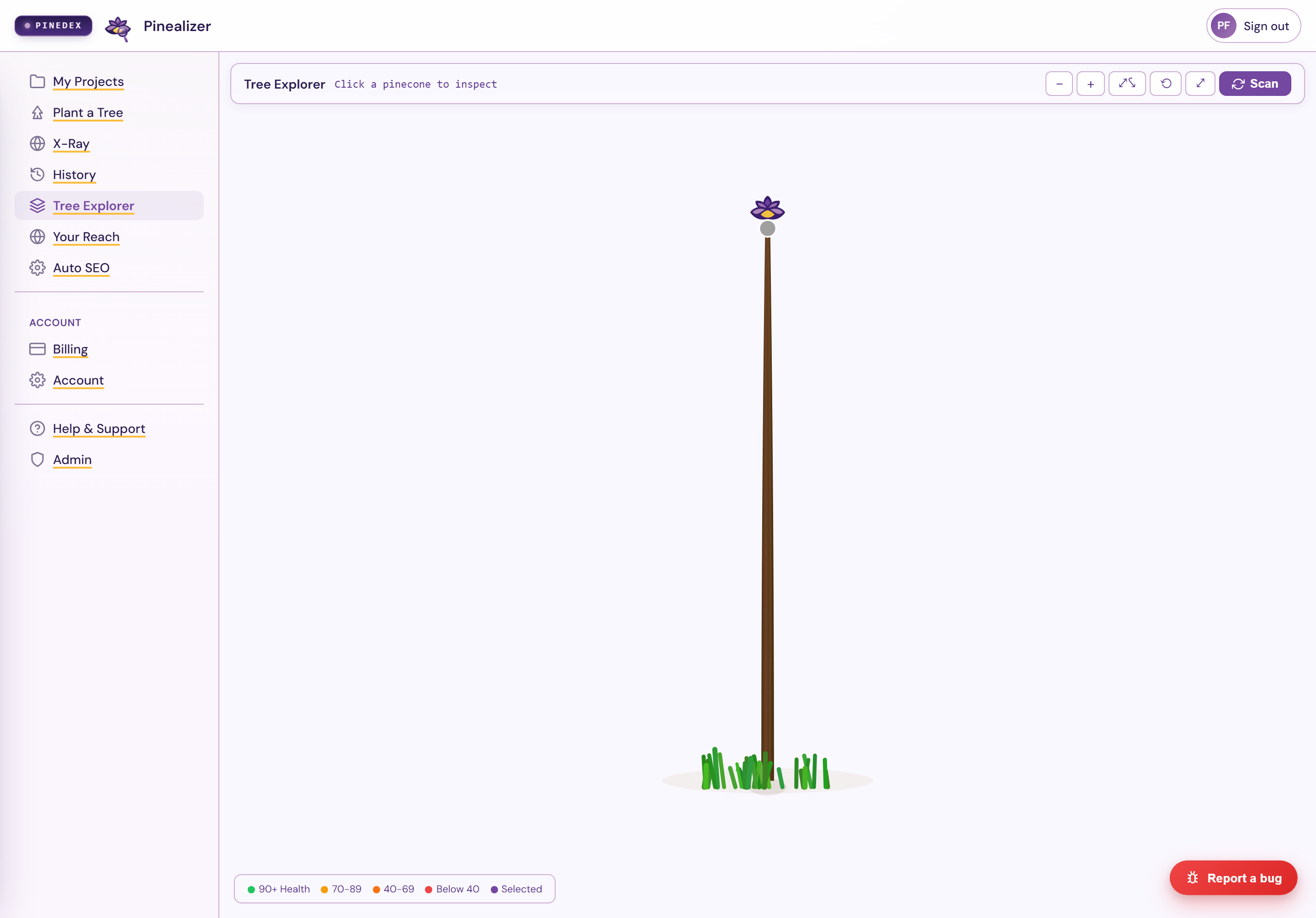 Tree Explorer visualizing the whole site as a living tree